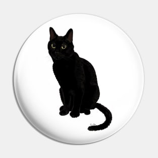 Black Cat Stare Down Pin