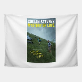 Call Me By Your Name (Movie) - Sufjan Stevens Tapestry