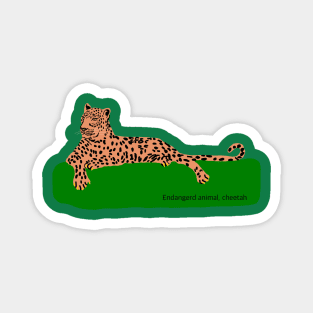 African cheetah, endangered animal in the world Magnet