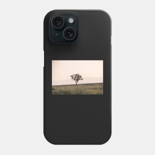 Autumn tree in the sunset Phone Case