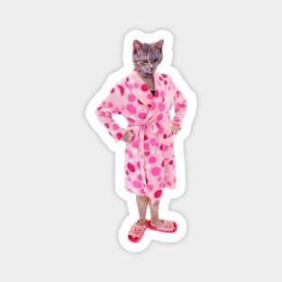 Crazy Cat Lady Magnet