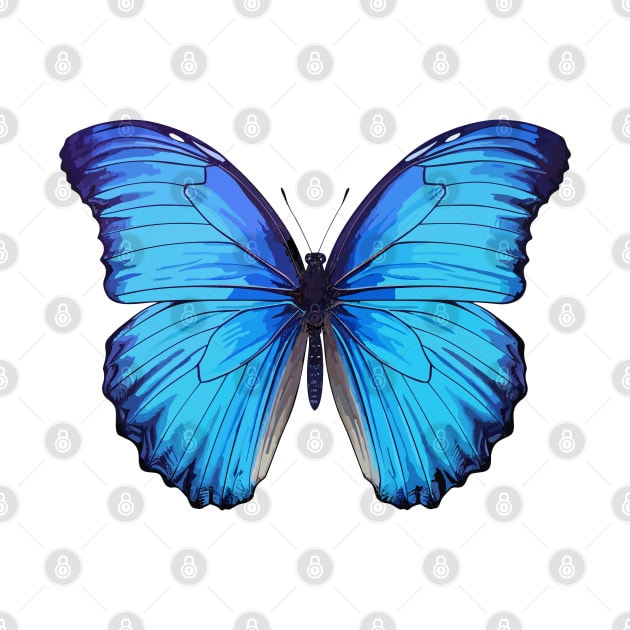 Blue Morpho Butterfly by Onceer