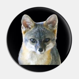 Cute Grey Fox Pin