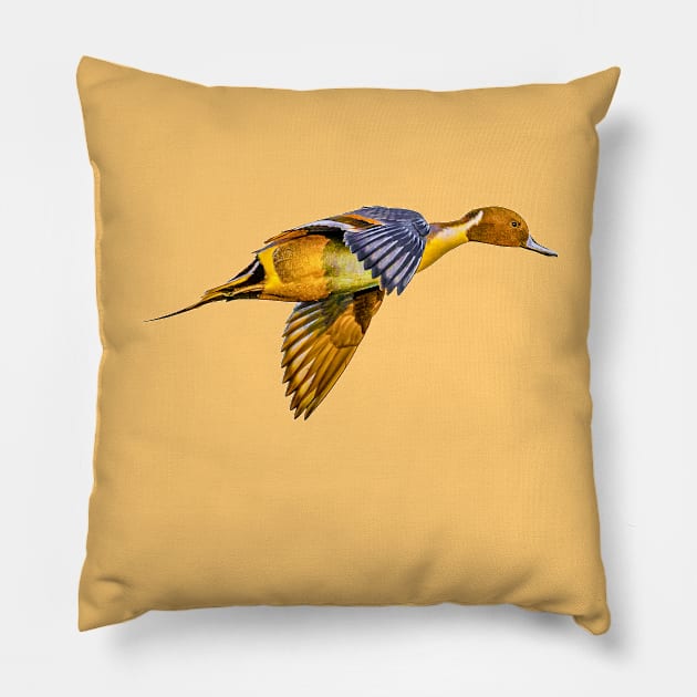 Pintail Sunset Pillow by dalyndigaital2@gmail.com