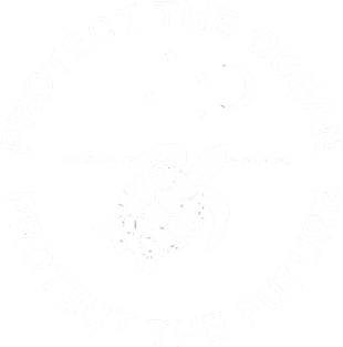 Protect the Ocean,Turtles Magnet