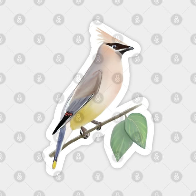 Cedar Waxwing Bird Digital Painting Magnet by MariaWorkman