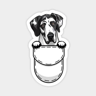 Funny Great Dane Pocket Dog Magnet