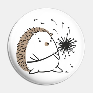 Cute hedgehog Pin