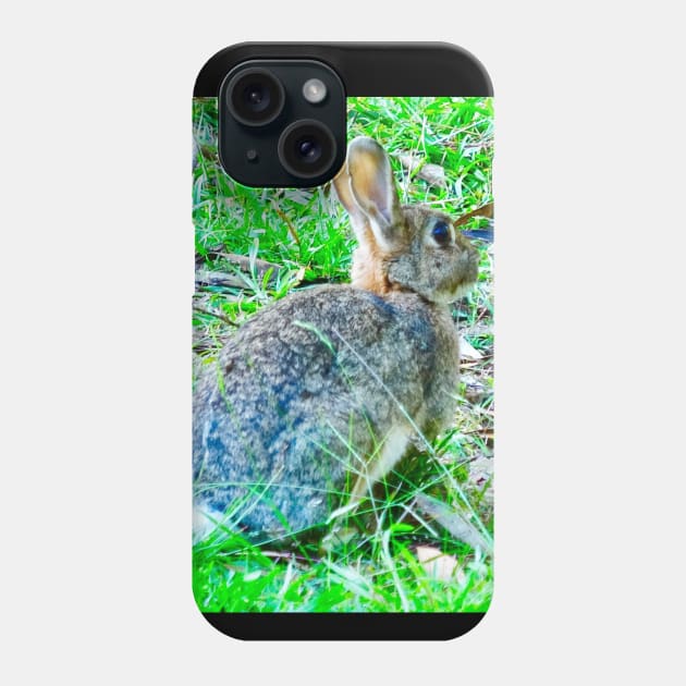 The Wild Rabbit Phone Case by Mickangelhere1