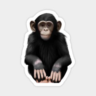 Cute Chimpanzee Drawing Magnet