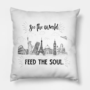 See the World. Feed the Soul. Pillow