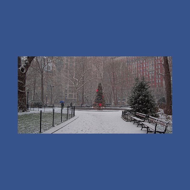A Christmas Tree In the Snow, Madison Square Park, NYC by Chris Lord