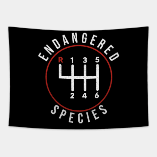 Endangered Species Manual Gearbox Stick Shift 6 Speed Tapestry