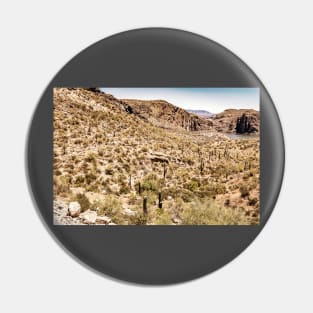 Apache Trail Scenic Drive View Pin