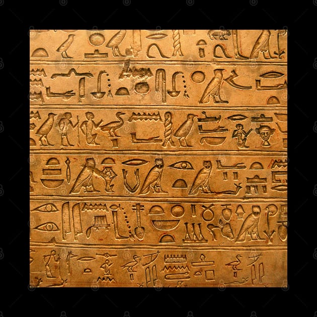 Egyptian hieroglyphics by Dashu