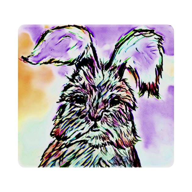 Fluffy Pastel English Angora Bunny Rabbit by YollieBeeArt