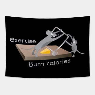 Exercise, burn calories Tapestry