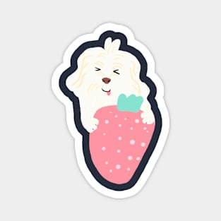 Strawberry Maltipoo Magnet