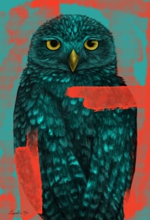 Owl Illustration T-Shirt