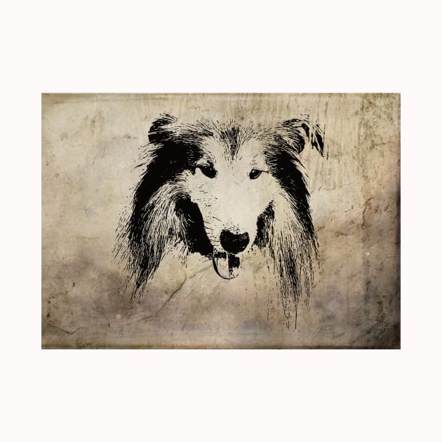 Collie Illustration by DoggyStyles