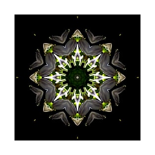 Mandala Kaleidoscope in Dark Shades T-Shirt