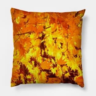 Beautiful golden maple leaves Pillow