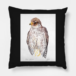 Amur Falcon Pillow