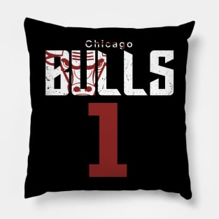 CHICAGO BULLS DROSE Pillow