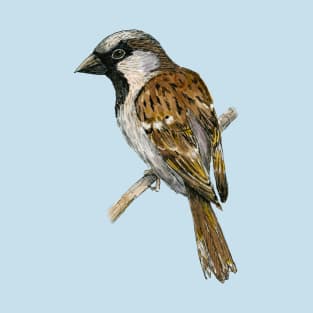 House sparrow colored ink drawing T-Shirt