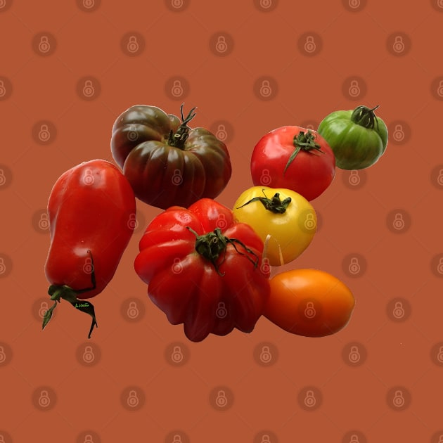 Tomatoes by AHelene