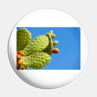 Cactus. Pin