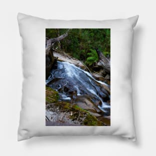 Taggerty Cascades #2 Pillow
