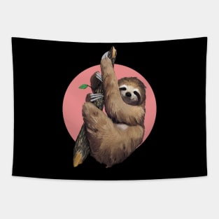 Slothing around Tapestry