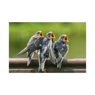 Baby Barn Swallows waiting to be fed T-Shirt