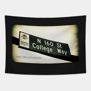 North 160th Street & College Way, Shoreline, WA by MWP Tapestry