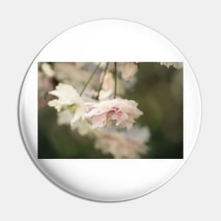 Pretty pink petals Pin