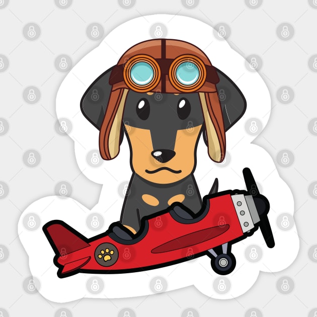 Flying Weiner Dog In Airplane Cute Dachshund Is In A Vintage Plane