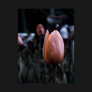 Beautiful Tulipan - macro photography T-Shirt