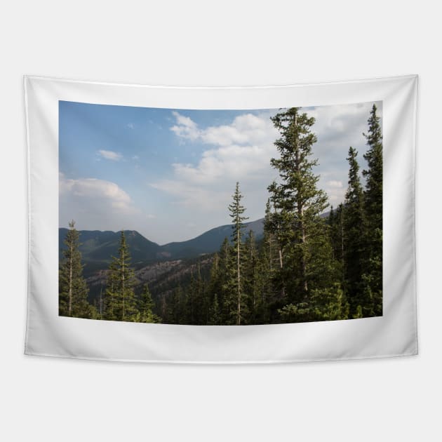 Mountains and Trees Tapestry by Jacquelie