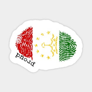 Tajikistan flag Magnet