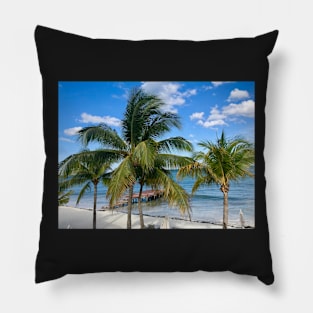 On Vacation in Mexico Pillow