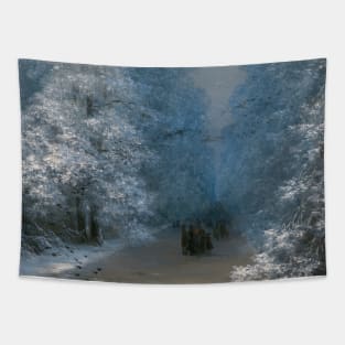 Winter Landscape by Ivan Aivazovsky Tapestry