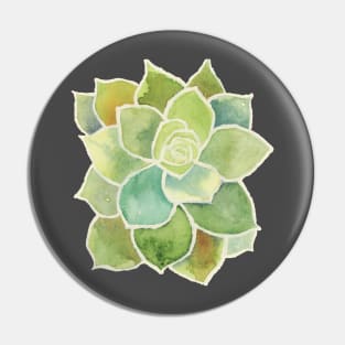 ECHEVERIA SUCCULENT - Watercolor Painting in Greens, Blues, and Rust - Hens & Chicks Plants Pin