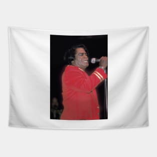 James Brown Photograph Tapestry