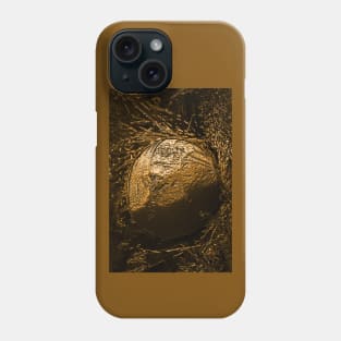 Nature Ornament. Clementine Phone Case