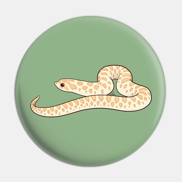 Albino Western Hognose Pin by anacecilia