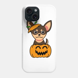 Funny small dog is in a pumpkin Phone Case