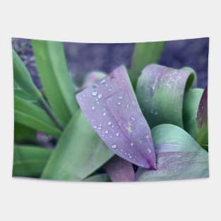 Water Droplets on Spring Leaves Tapestry