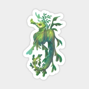 Leafy Sea Dragon Magnet