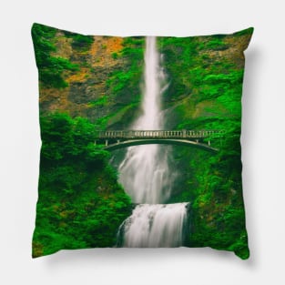 nature photograph Pillow